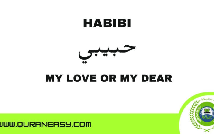 Habibi meaning: