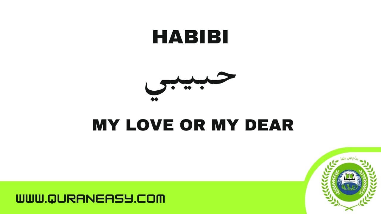 Habibi Meaning Its Expressions Yallah Wallah Shukran Habibi 