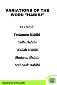 Habibi Meaning: Yallah, Wallah, Shukran Habibi Expressions