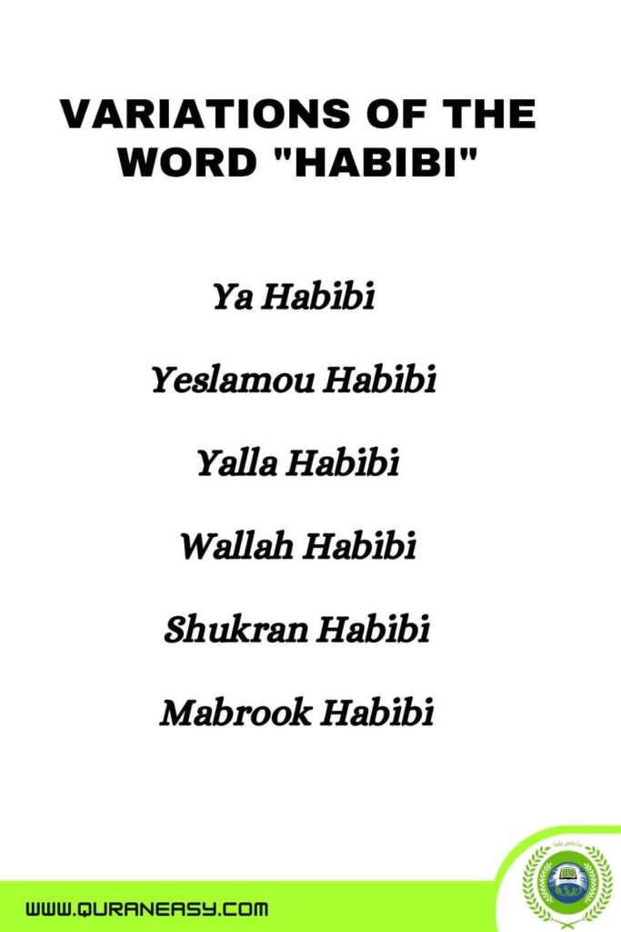 Variations of the Word Habibi